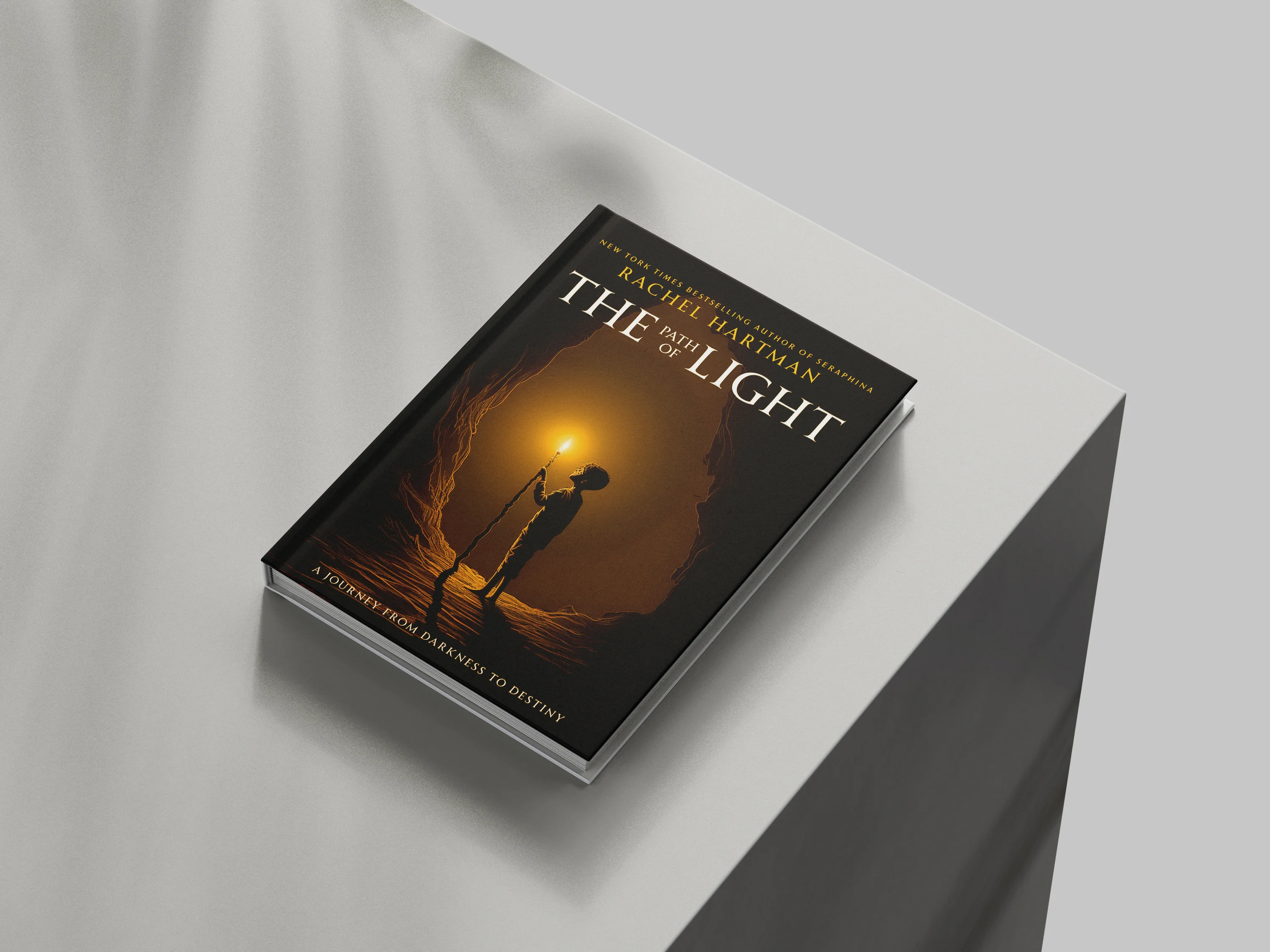 Light in the Darkness – Book Cover Design