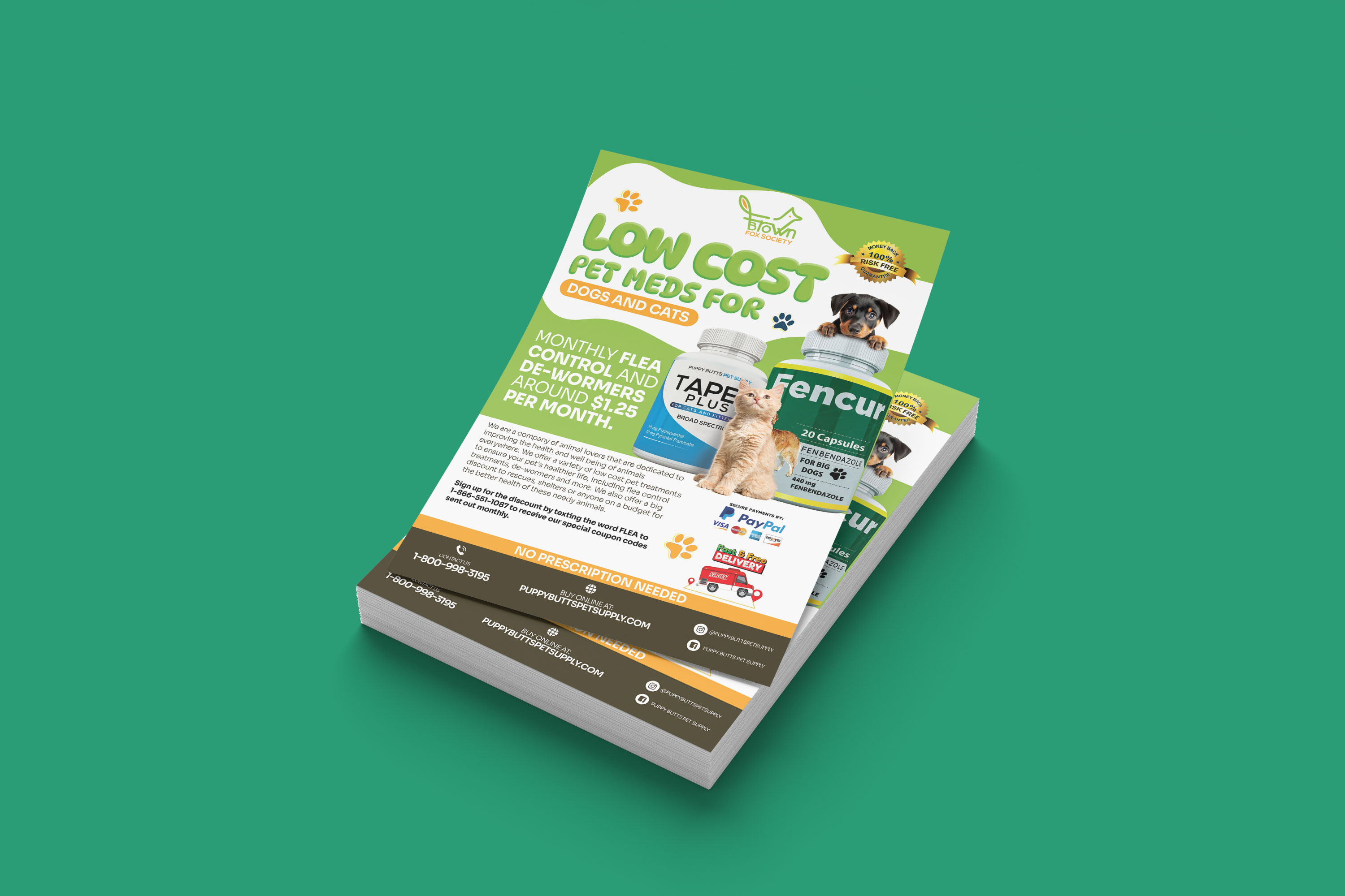 Premium Pet Medicine Promotional Flyer Design